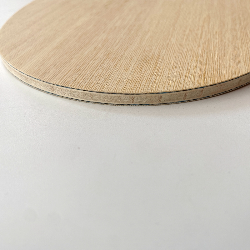 Racchetta da Ping Pong Lemuria - Table Tennis Yasaka recensione e prezzo