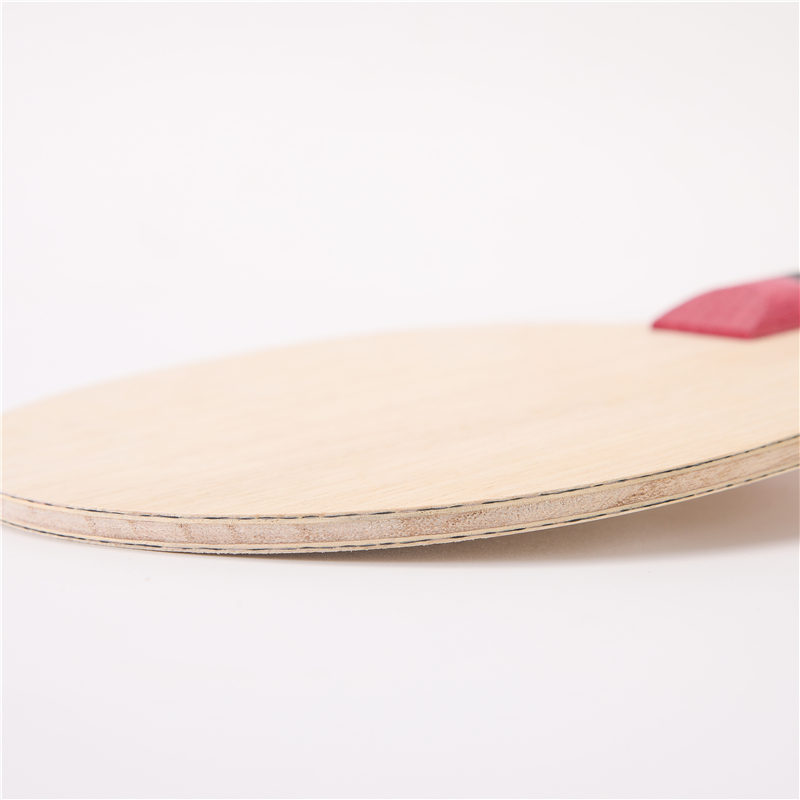 Stuor 5 strati di legno con 2  - Table Tennis Yasaka recensione e prezzo